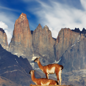 Trekking Base Mirador Torres del Paine