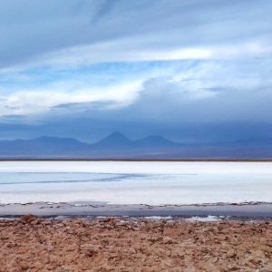 Laguna Cejar
