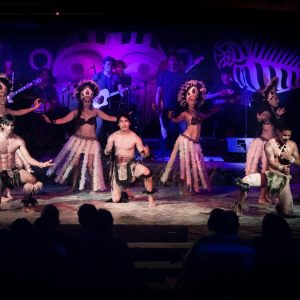 Show Haka Ara Tupuna